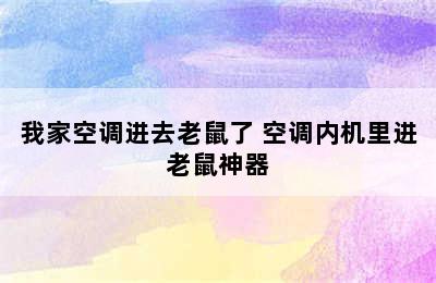 我家空调进去老鼠了 空调内机里进老鼠神器